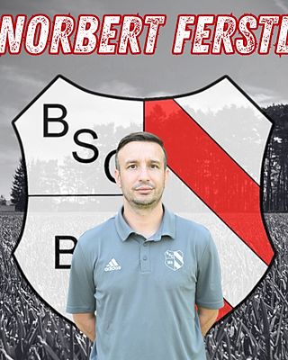Norbert Ferstl