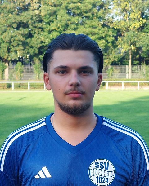 Saif-Al Din Dimoglou