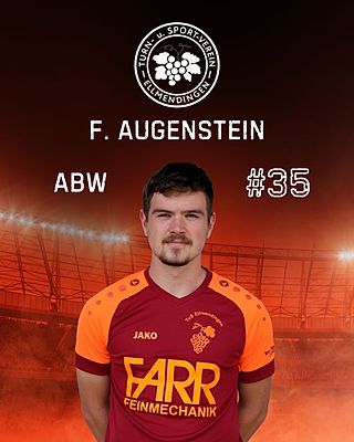 Finn Simeon Augenstein