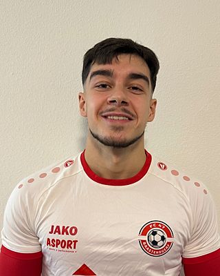 Alem Tutic