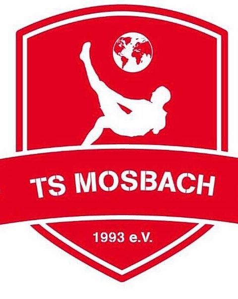 Foto: TS Mosbach Media