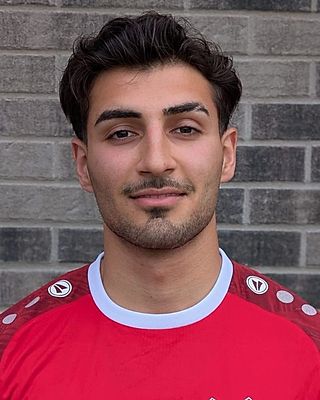 Amirhossein Hajiaghabozorgi