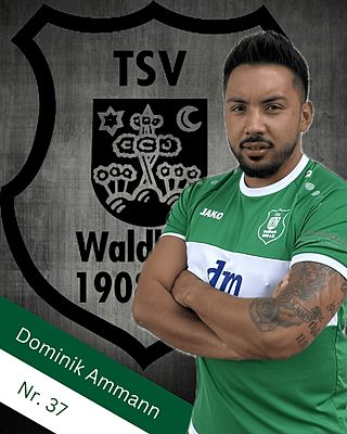 Dominik Ammann