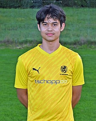 Fabio Schmid