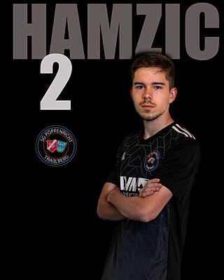 Kenan Hamzic