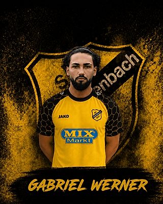 Gabriel Werner