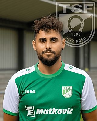 Alex Cassavia