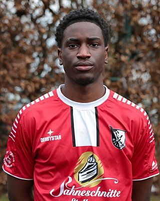 Thierno Diayla Diallo