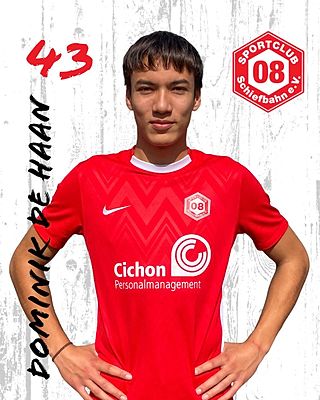 Dominik de Haan