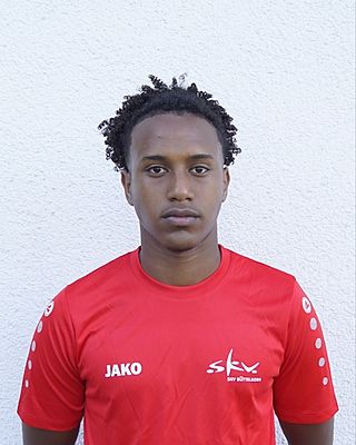 Michiele Mehari Abrham