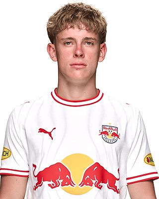 Johannes Moser