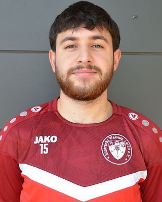 Karlen Nikoyan