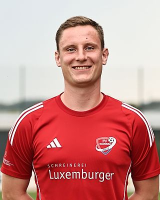 Martin Schultheis