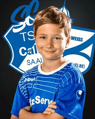 Alwin Punkt