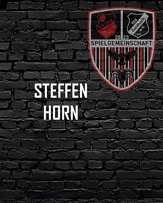 Steffen Horn