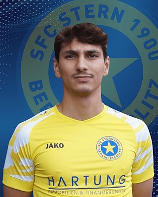 Enes Oguz Timur Schick
