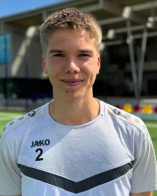 Theo Friedrich Hille