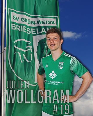 Julien Wollgramm