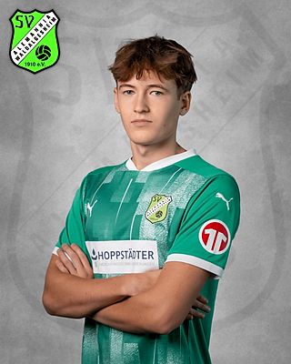 Louis Ramon Iivari Kreiner