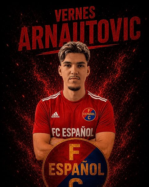 Vernes Arnautovic