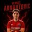 Vernes Arnautovic
