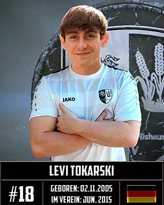Levi Tokarski
