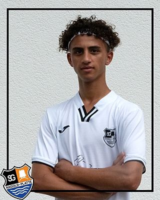 Abdelrahman R.O. Zourob