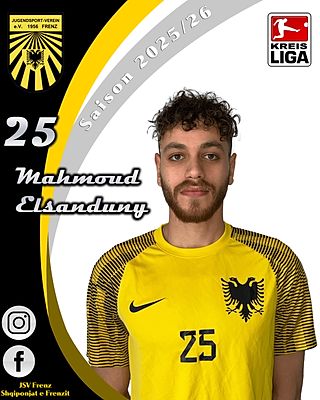 Mahmoud Elsanduny