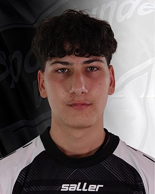 Enes Mustafa Bahadir