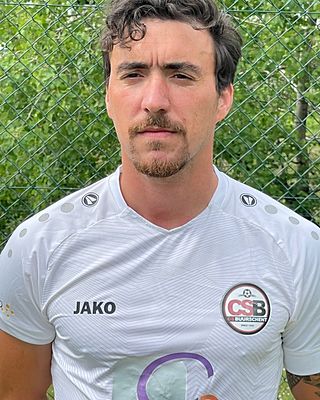 Razvan Badiu