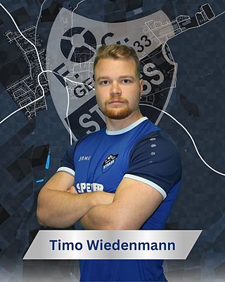 Timo Wiedenmann