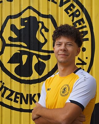 Alexander Liseanu