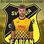 Fabian Schnitzer