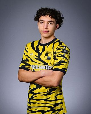 Abdelmounaim El Majjaoui