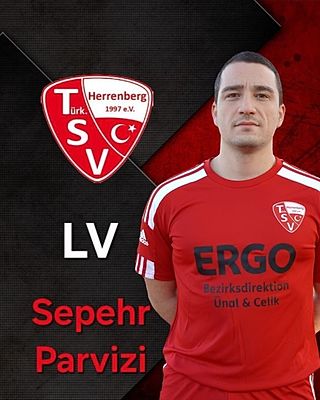 Sepehr Parvizi