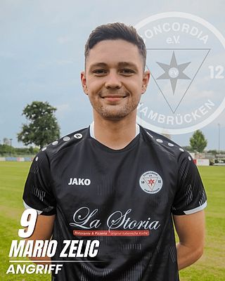 Mario Zelic