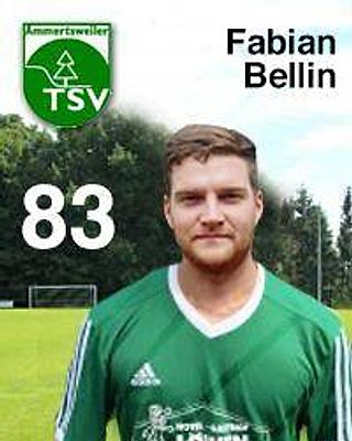 Fabian Bellin