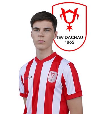 Daviti Mshvildadze
