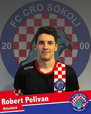 Robert Pelivan