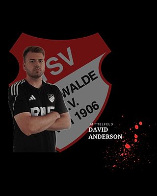 David Anderson