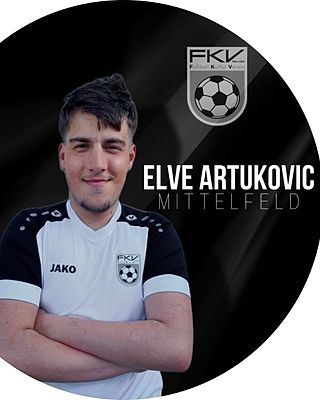 Elve Artukovic