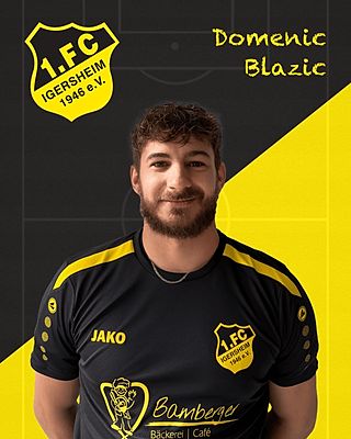 Domenic Blazic