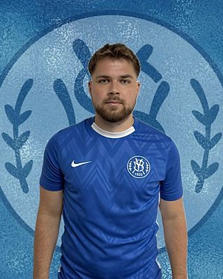 Niklas Voll