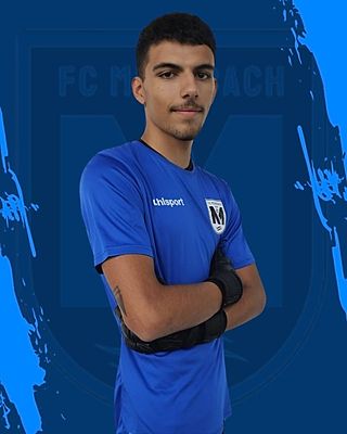 Rodrigo Miguel Tavares Ribeiro