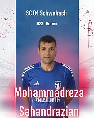 Mohammedreza Sahadrazian