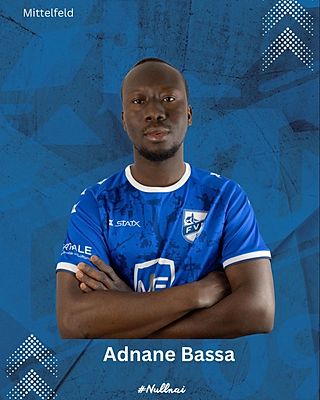 Adnane Bassa