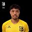 Viet Duc Pham