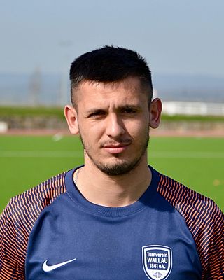 Dzenis Dautovic