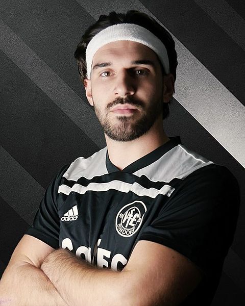 Foto: VfL