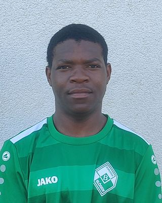 Francois Xavier Loic Meka Tsya